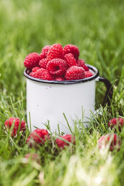 Himbeeren in einer Tasse auf Gras.