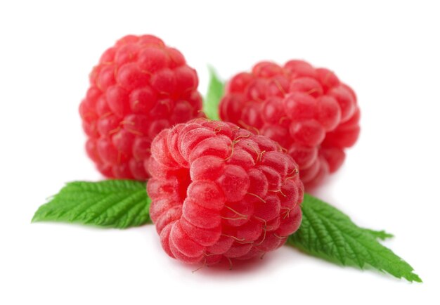 Himbeeren mit grünen Blättern auf weißem Hintergrund