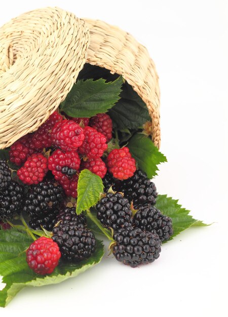 Foto himbeeren und brombeeren fallen aus dem korb