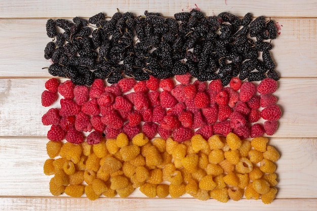 Himbeeren und Maulbeeren in den Farben der deutschen Flagge ausgelegt