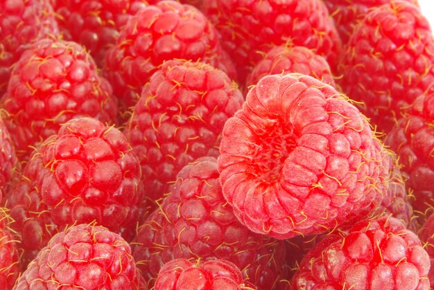 Himbeeren