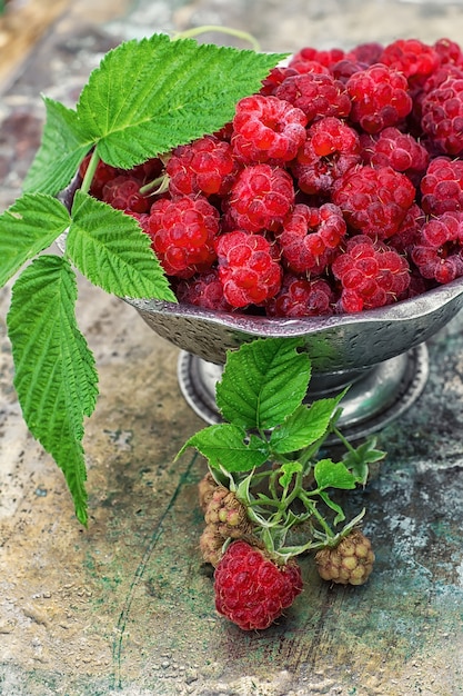 Himbeeren