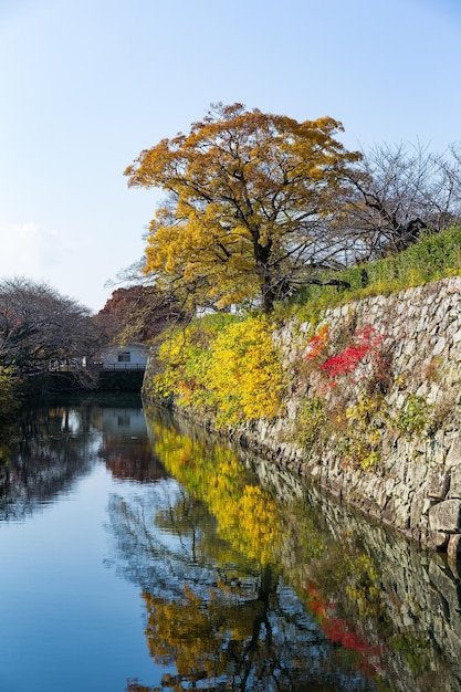 Himeji-Burg im Herbst