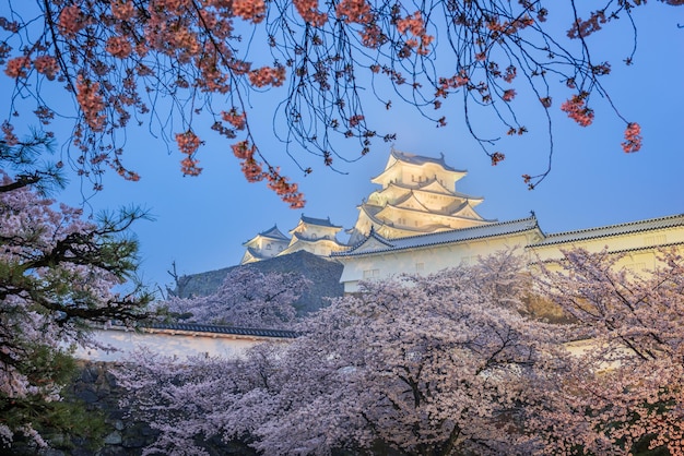 Himeji Japão no Castelo de Himeji durante a temporada de primavera flor de cerejeira
