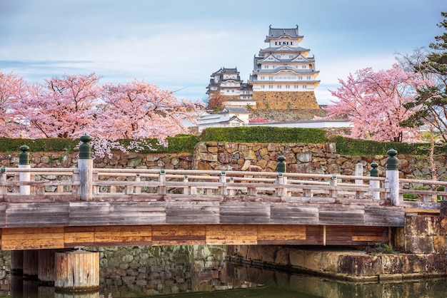 Foto himeji japón en el castillo de himeji durante la temporada de primavera de los cerezos en flor