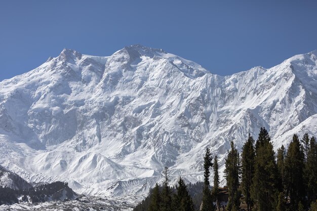 Himmel auf ErdenNanga Parbat von Fairy MeadowsGilgitBaltistan Pakistan