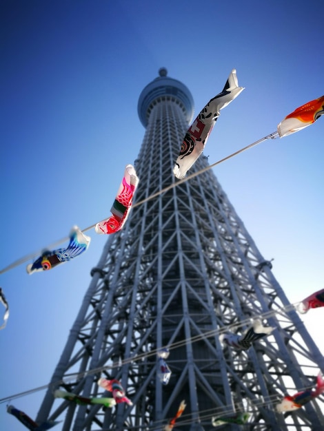 Himmel-Baum-Perspektive vom Boden japanische Coy-Fahnen modern mit Erbe Low-Angle-Aufnahme