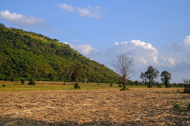 Himmel Berg