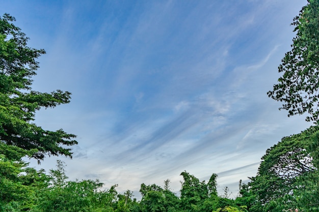 Himmel mit seltenen Wolken in Linienform.