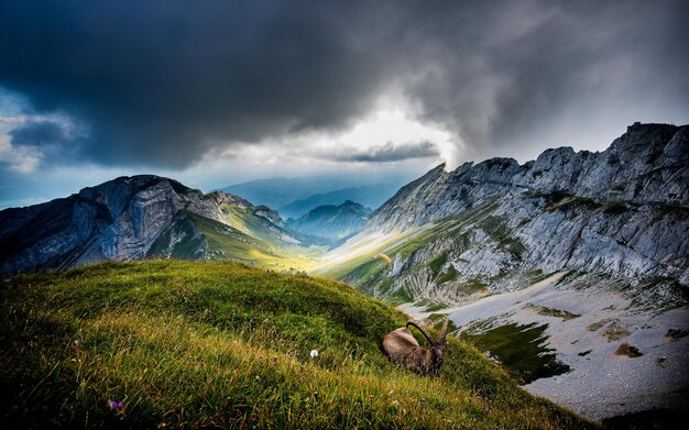 Himmel-Stadt-Raum-Licht