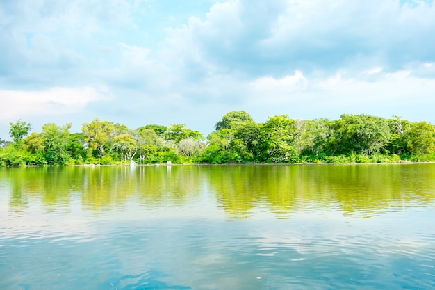 Himmel und grüne Bäume am See