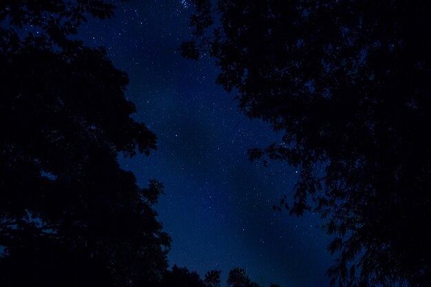 Himmel und Sterne in der Nacht