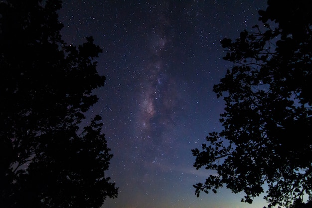 Himmelshintergrund nachts und Milkyway