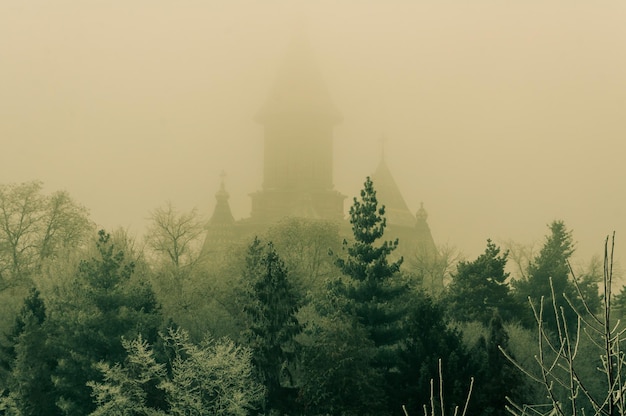 Foto hinter den bäumen eine kirche im nebel winterszene metropolitan-orthodoxe kathedrale von timisoara