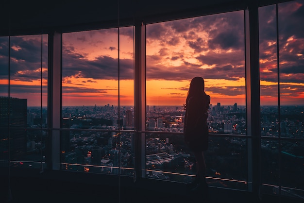 Hintere Ansicht der Frau, die Tokyo Skyline und Ansicht der Wolkenkratzer auf der Aussichtsplattform bei Sonnenuntergang in Japan schaut. Vintage Ton