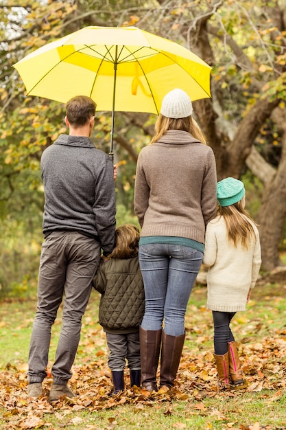 Hintere Ansicht der jungen Familie unter Regenschirm