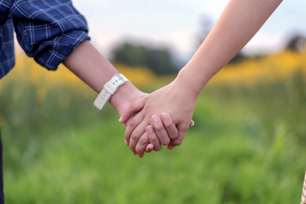 Foto hintere ansicht des studenten mit zwei teenagern hand in hand zusammenhalten