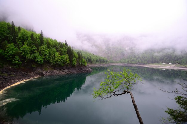 Hinterer Gosausee