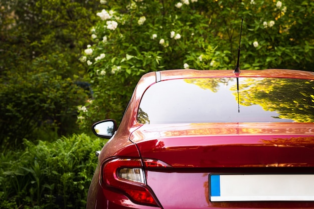 Hinteres Fenster des roten Autos, das am sonnigen Sommertag auf der Straße geparkt wird, Rückansicht Mock-up für Aufkleber oder Abziehbilder