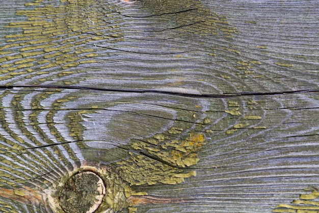 Hintergrund Altes strukturiertes Kieferbrett mit Sprüngen und Knoten