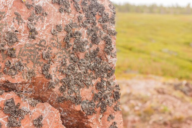 Hintergrund an der Küste des Weißen Meeres in der Nähe der Cape Ship Amethyst Coast