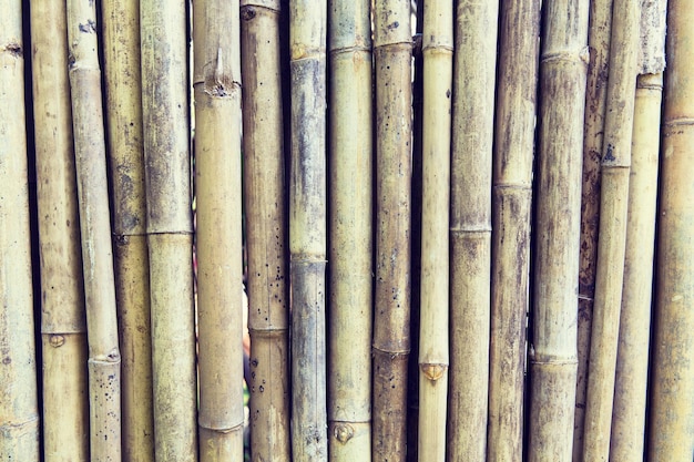 Hintergrund aus Bambus