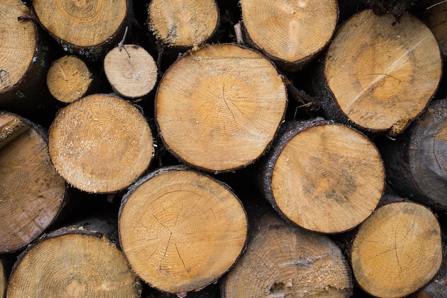 Hintergrund aus Holzscheiten