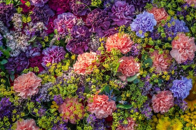 Hintergrund aus verschiedenen Arten von Nelken. Blumen Hintergrund. Blumengesteck aus farbigen Nelken.