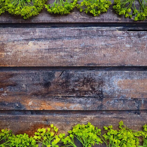 Hintergrund der dunklen horizontalen Holzbohlen mit grünen Ahornblumen umrahmt Zweige, Blätter und Blumen sind über und unter Kopierraum ausgelegt Postkarte oder leer für Design Holz und Grün