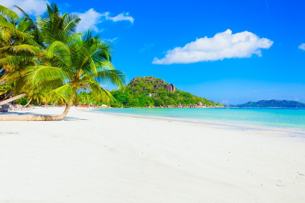 Hintergrund der Feriensommerferien - sonniger tropischer karibischer Paradiesstrand mit weißem Sand und Palmen