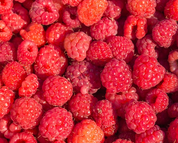 Hintergrund der frischen Himbeeren