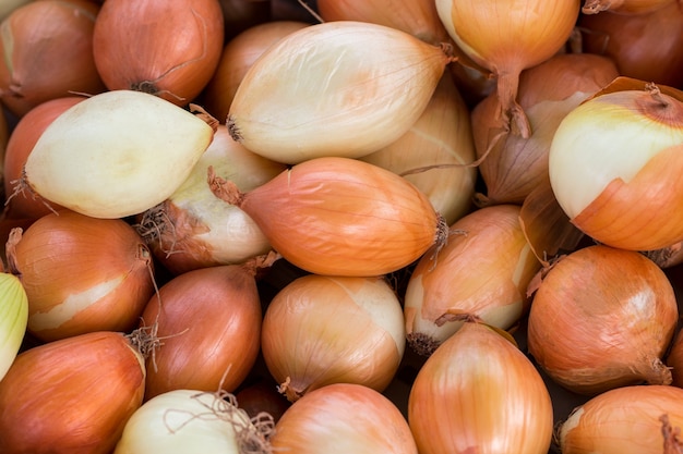 Hintergrund der frischen Zwiebeln im Markt