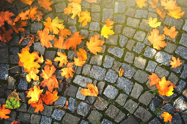 Hintergrund der Herbstblätter auf Kopfsteinpflaster gefallen.