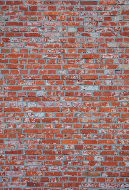 Foto hintergrund der mauer textur