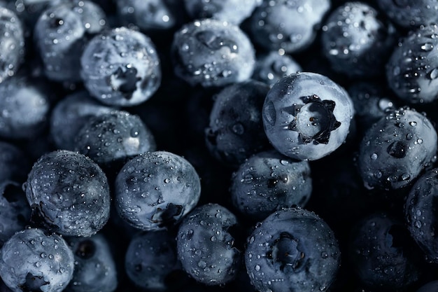 Hintergrund der reifen Heidelbeeren Gesundes Essen