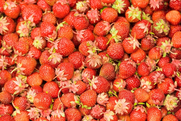 Hintergrund der reifen roten Erdbeeren