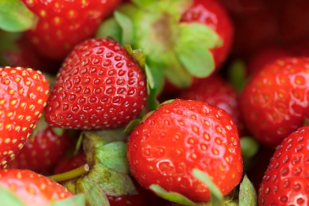 Hintergrund der reifen roten Erdbeeren