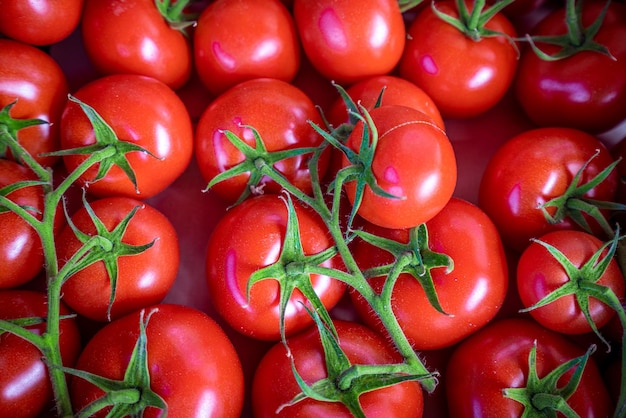 Hintergrund der roten Tomaten Gruppe Tomaten