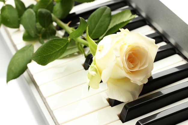 Hintergrund der Synthesizer-Tastatur mit Rose