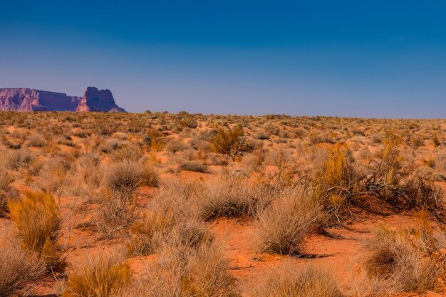 Foto hintergrund der wüstenlandschaft