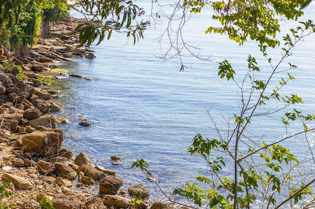 Hintergrund des blauen Wassers mit Steinen und grünem Gras auf dem Ufer Meeres-, Fluss-, See- oder Meeresoberfläche in der Nähe