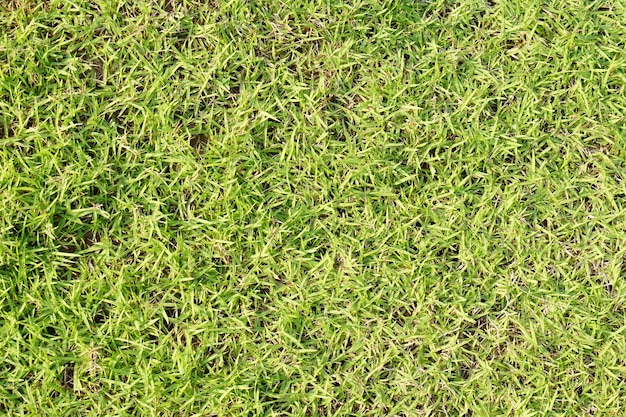 Hintergrund des grünen Grases auf dem Fußballplatz