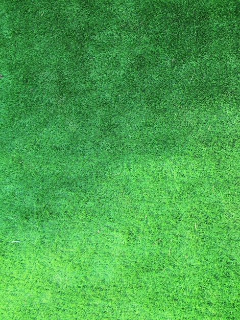 Hintergrund des grünen Grases