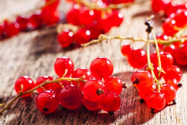 Hintergrund des horizontalen Fotos der reifen saftigen Beeren der roten Johannisbeere Draufsicht