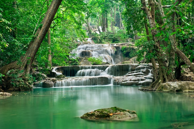 Foto hintergrund des strömens des wasserfalls im nationalpark im tiefen walddschungel auf berg. st o