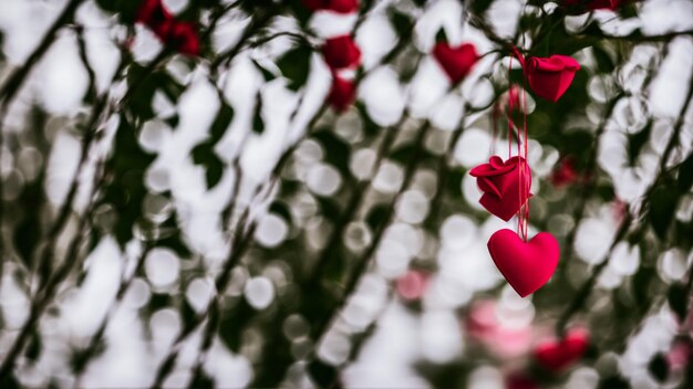 Foto hintergrund des valentinstags