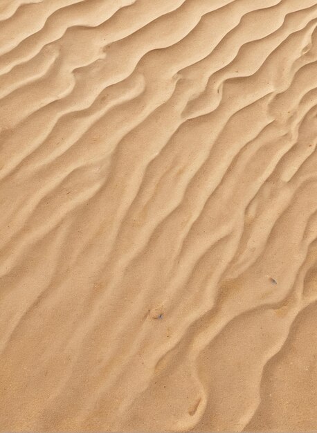 Hintergrund: ein Sanddün in der Sahara-Wüste