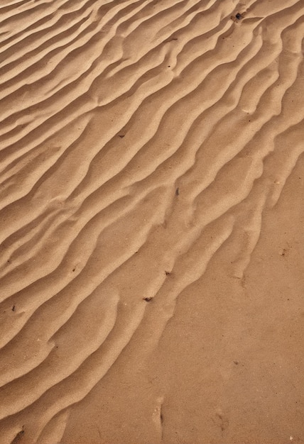 Hintergrund: ein Sanddün in der Sahara-Wüste