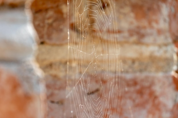 Hintergrund einer alten roten Backsteinmauer Ein ungewöhnliches Design aus Ziegeln und Zement eines alten Gebäudes Spinnweben auf der Oberfläche eines alten Hauses