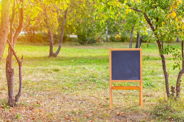 Hintergrund für Fotos im Park im Schulstil.